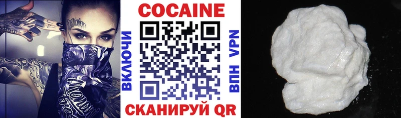Cocaine Fish Scale  Купить закладки  Кемь 