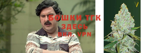 стафф Ладушкин